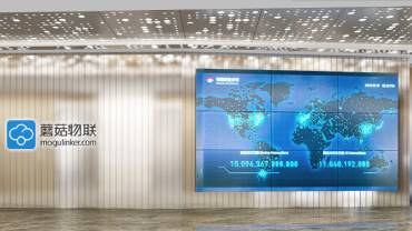 蘑菇物聯(lián)深圳辦公室